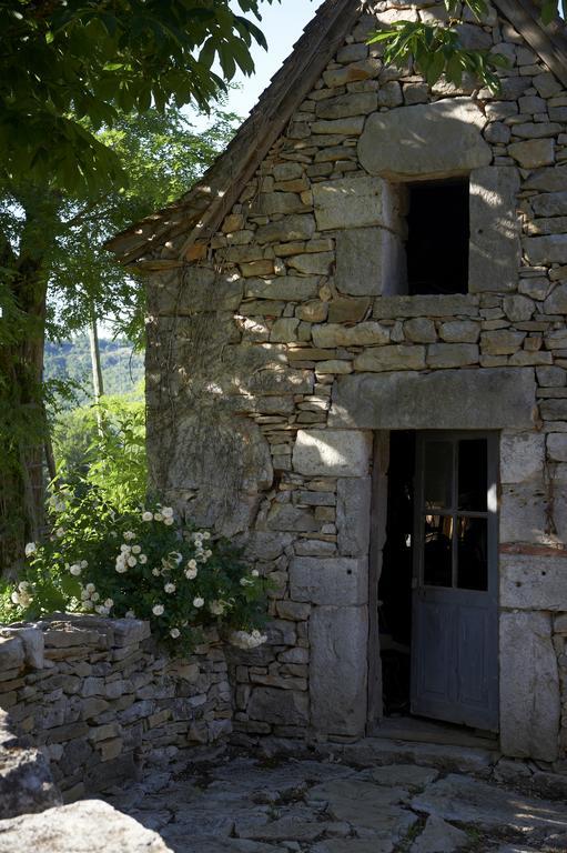 לינה וארוחת בוקר Calvignac Mas De Garrigue מראה חיצוני תמונה