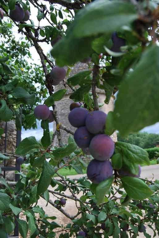 לינה וארוחת בוקר Calvignac Mas De Garrigue מראה חיצוני תמונה